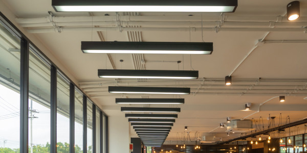 Reformas Integrales de Oficinas y Despachos Alguazas · Diseño e Instalación de Iluminación LED Eficiente